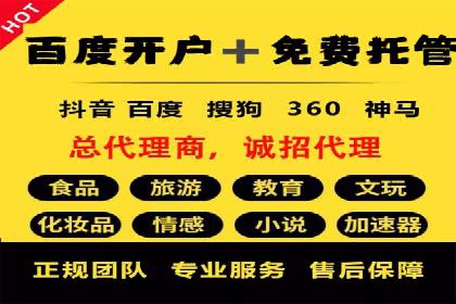 行业领先：竞价SEM托管案例剖析